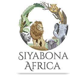 http://www.mozambique.co.za