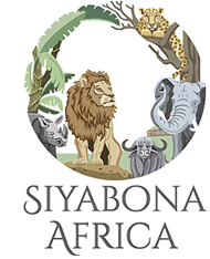http://www.mozambique.co.za