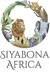 http://www.mozambique.co.za